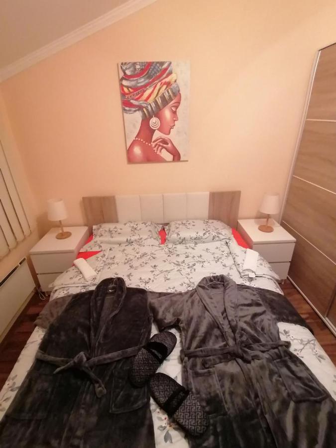 Apartman Dionis Sm Sremska Mitrovica Bagian luar foto